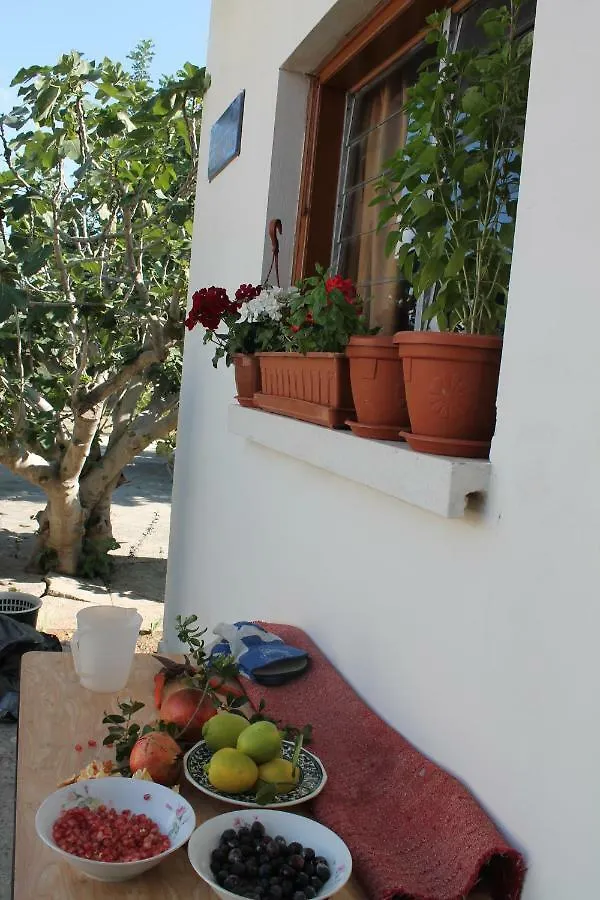 Tatil Evi Ithaca Villa Larnaca