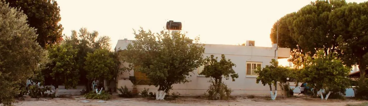 Villa Ithaca Larnaca